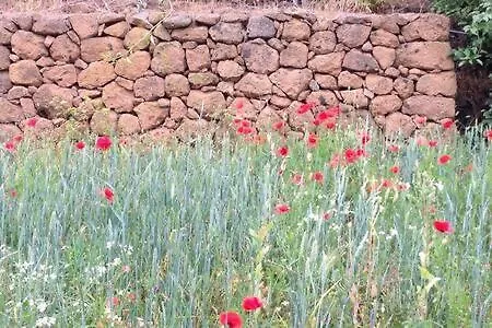 Villa Rural Faldas Del Teide Icod De Los Vinos Spain