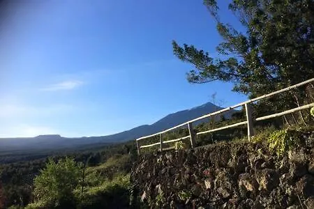Villa Rural Faldas Del Teide إيكود ذي لوس فينوس إسبانيا